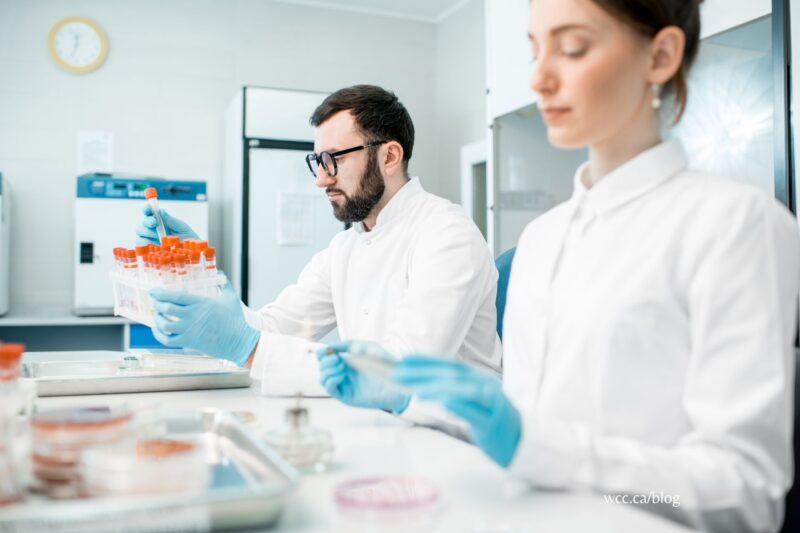 How to a Medical Laboratory Assistant Western Community College