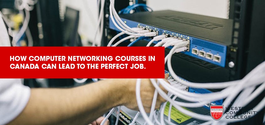 How Computer Networking Courses in Canada Can Lead to the Perfect Job