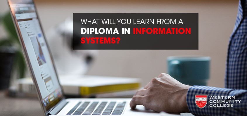 What Will You Learn from a Diploma in Information Systems