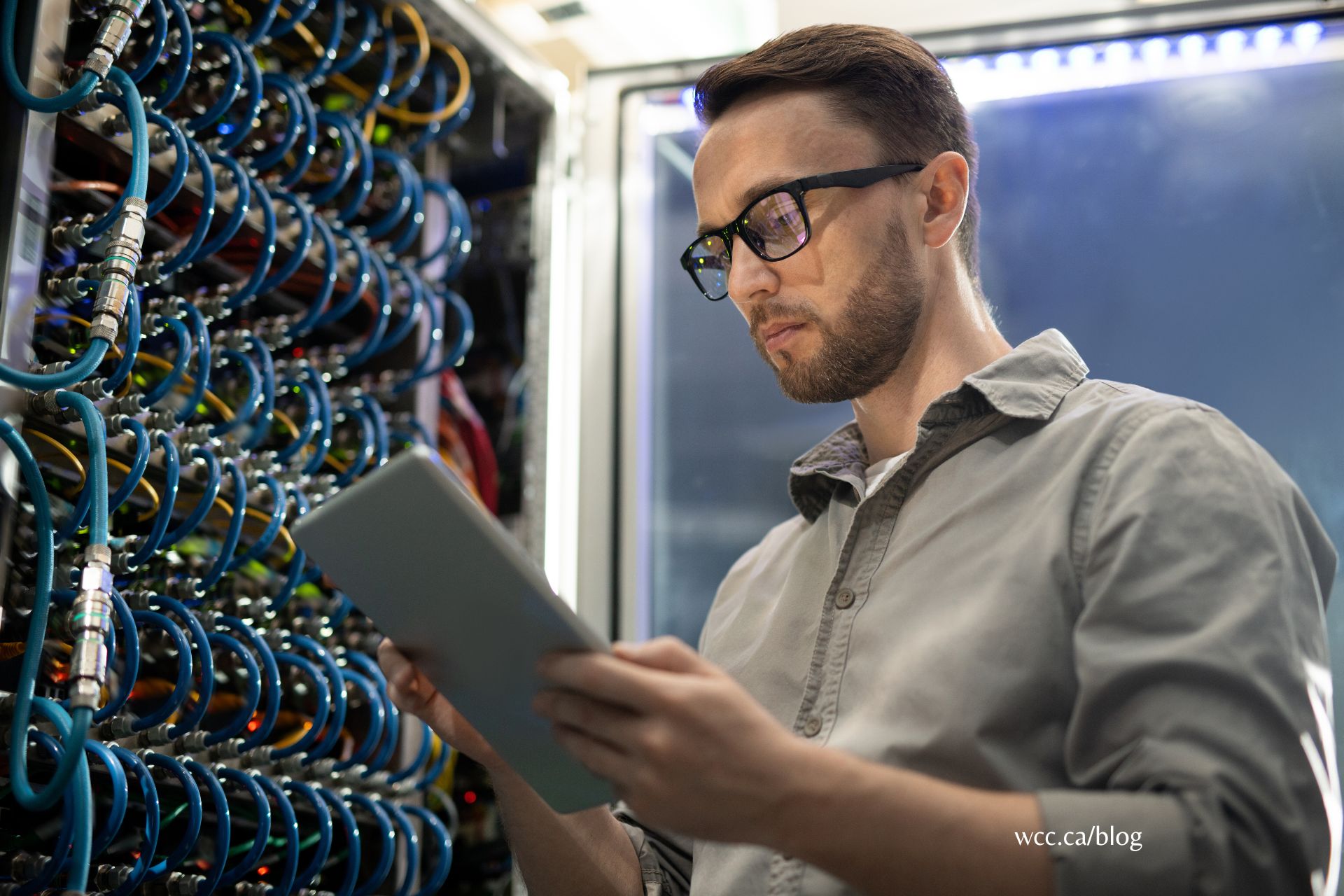 What degree is network administrator