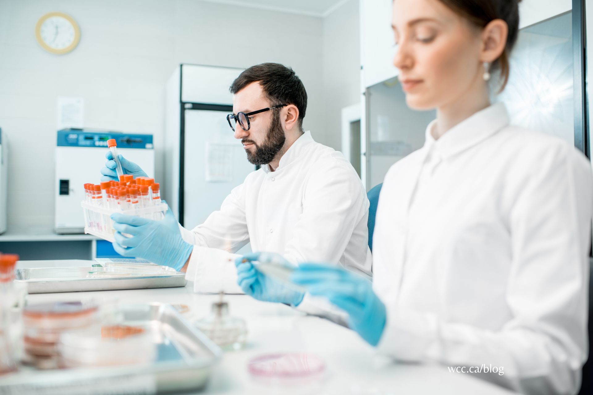 Illustration of a person wearing a lab coat and gloves, holding a test tube, representing the journey of becoming a medical lab assistant.